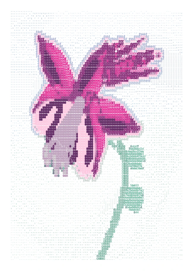 One magenta columbine on white typographic paper.