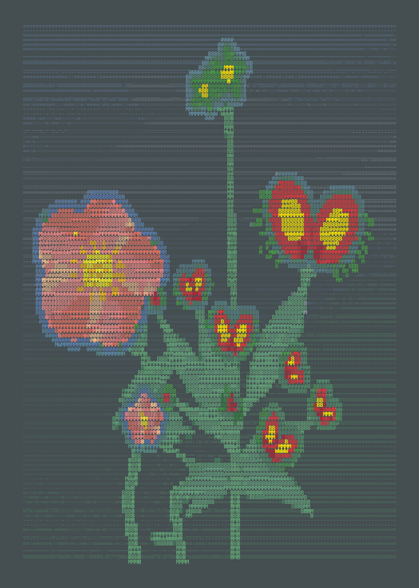 Coral geraniums and red flytraps with yellow centers, green stems, and a tall companion bloom on charcoal grey typographic paper.
